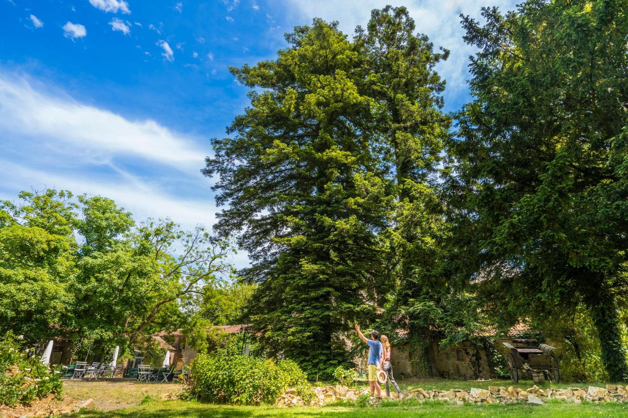 Chateau De La Tourlandry Chemille-en-Anjou Екстериор снимка